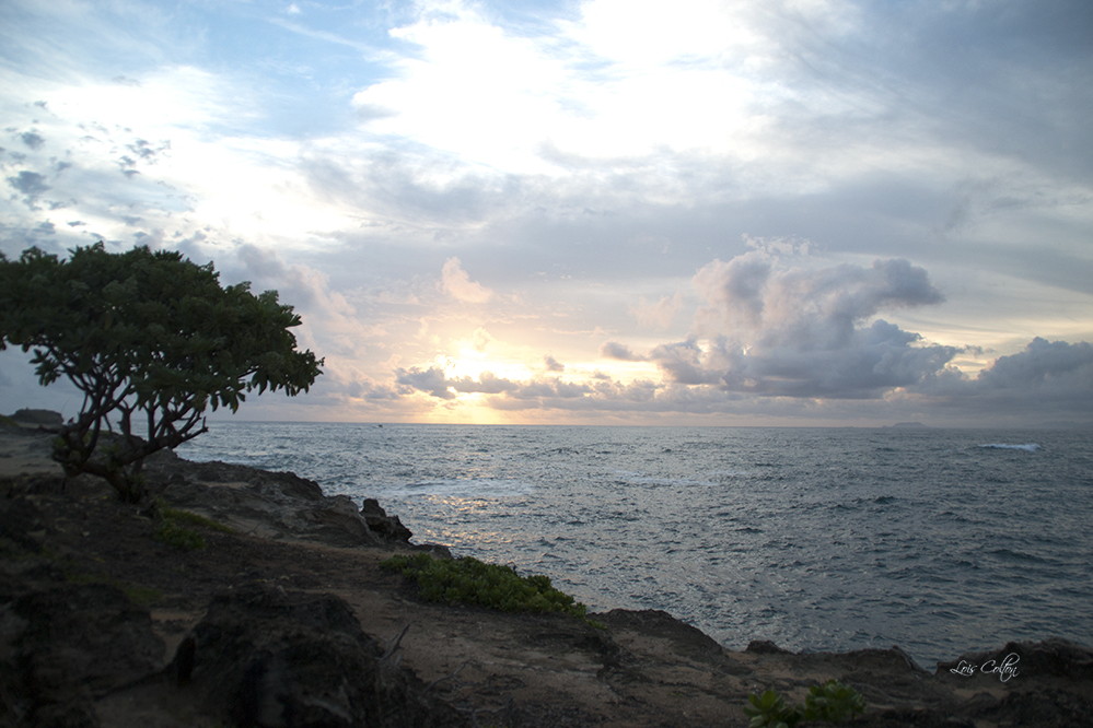 Sunrise at Laie Point