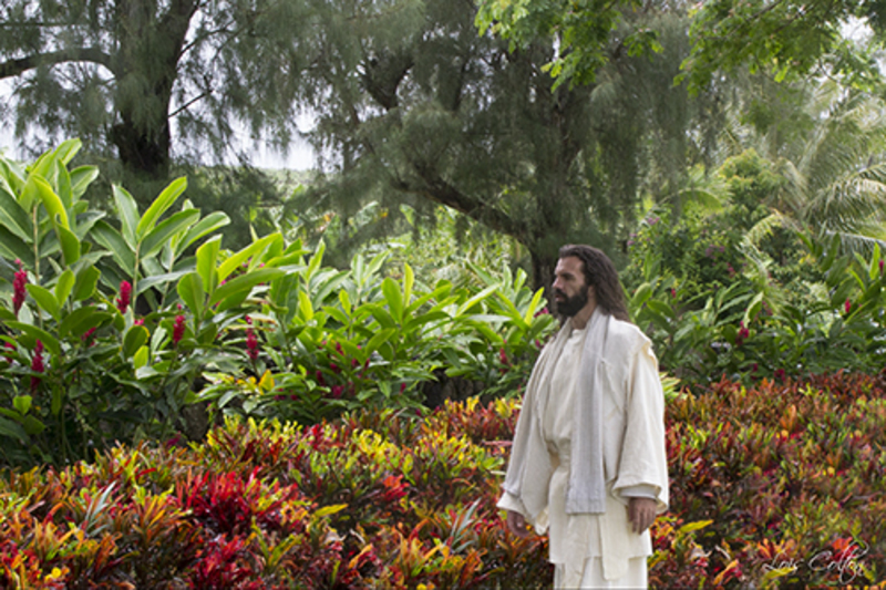 100.adm <b>Adam, Where Art Thou?</b> - And they heard the voice of the LORD God walking in the garden in the cool of the day: and Adam and his wife hid themselves from the presence of the LORD. Genesis 3:8