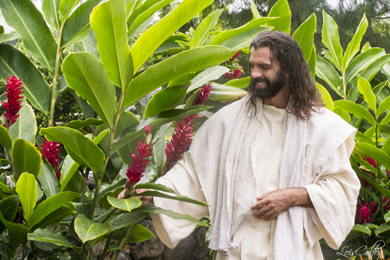 080.cre <b>The Creation</b> - And the earth brought forth grass, and herb yielding seed after his kind, and the tree yielding fruit, whose seed was in itself, after his kind: and God saw that it was good. Genesis 1:12