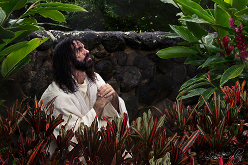 060.thy <b>Thy Will Be Done</b> - O my Father, if this cup may not pass away from me, except I drink it, thy will be done. Matthew 26:42