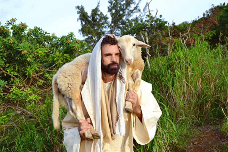 300.tls <b>The Lost Sheep</b> - What man of you, having an hundred sheep, if he lose one of them, doth not leave the ninety and nine in the wilderness, and go after that which is lost, until he find it? And when he hath found it, he layeth it on his shoulders, rejoicing. Luke 15:4-7